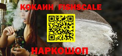 бошки Кингисепп