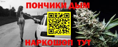 бошки Кингисепп