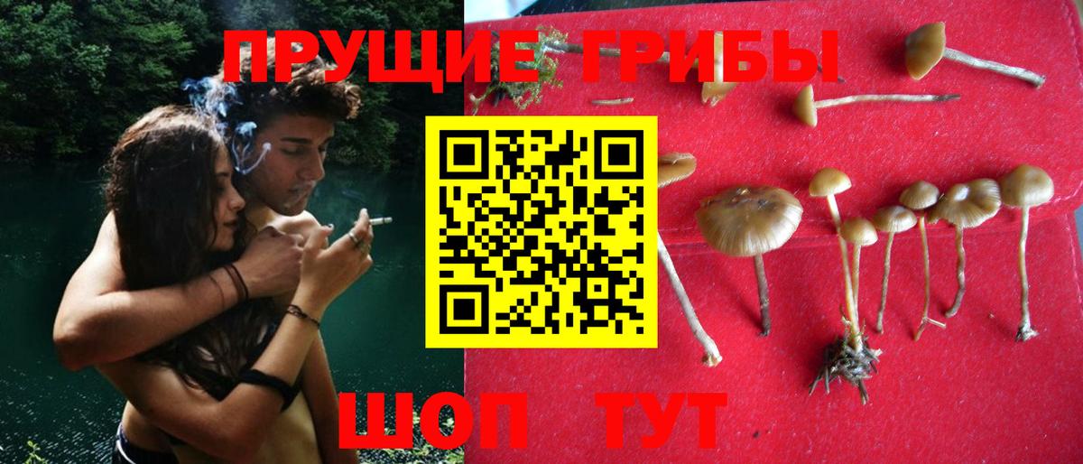 Галлюциногенные грибы Psilocybine cubensis  Вход с VPN  Чусовой  магазин продажи   Галлюциногенные грибы мицелий 